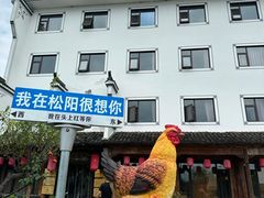-头上红煨盐鸡·非遗院子餐厅
