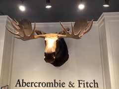 -Abercrombie&Fitch(德基广场店)