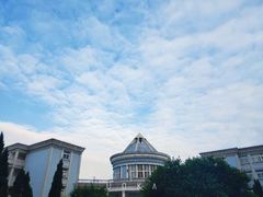 -浙江越秀外国语学院