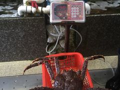 -蚝专家(北滘店)