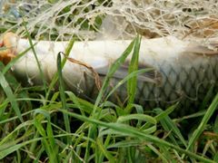 -白渔泡湿地公园