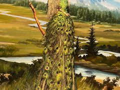 -陕西自然博物馆