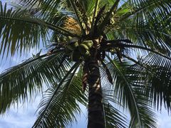 -亚龙湾亚泰商业街