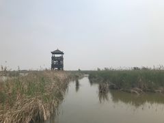 -盐城丹顶鹤湿地生态旅游区