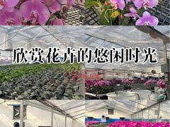 -万顷园艺世界