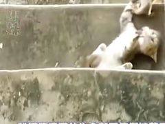 -昆明动物园