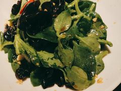 田七木耳-倍儿美海鲜大排挡·非遗海鲜蒸饺(洋货店)