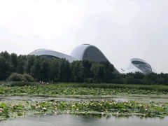 -哈尔滨大剧院