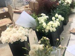-海岛日记(养马岛店)