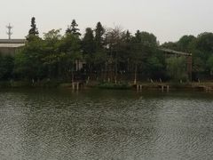 android_upload_pic-象山森林公园