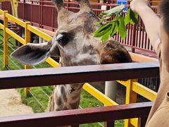 -西霞口神雕山野生动物世界