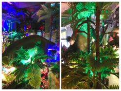 点击看大图 -恐龙探索乐园(磁器口店)