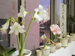 -曦辰书院·书法篆刻