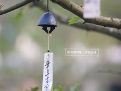 -江南天池