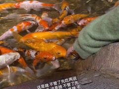 -zoonana室内动物园(东方福来德店)