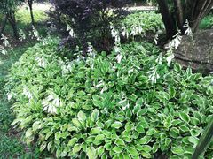 -贵阳市花溪国家城市湿地公园