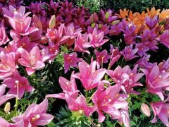 -长春公园(普阳街道)