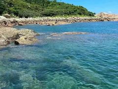 -广东惠东海龟国家级自然保护区