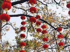 -晓港公园