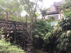 -黄龙溪古镇