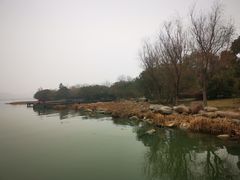-长广溪湿地公园