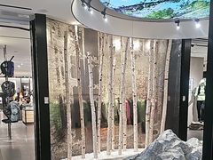 -ARC'TERYX始祖鸟(北京王府中环店)