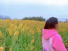 -中国天府农业博览园