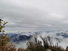 -白草畔自然风景区