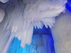 -芦芽山旅游度假区
