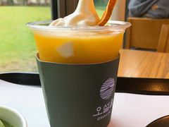 -雪绿茶博物馆