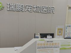 -瑞鹏宠物医院·骨外科·心肾科·肿瘤科(九亭店)