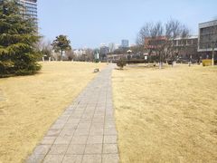 -丁家河公园
