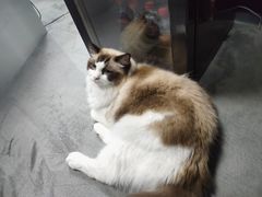 -零纪元VR体验馆·桌游(黄浦店)