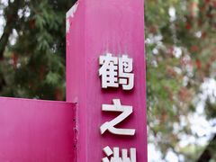 -鹤之洲湿地公园