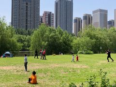 -长白岛森林公园