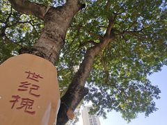 -石炮台公园