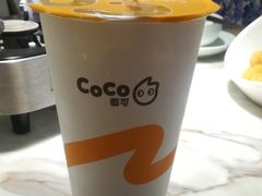 -CoCo都可(漫乐城店)