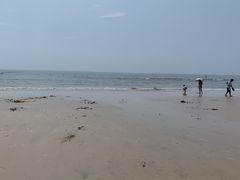 -日照海滨国家森林公园