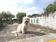 -上海鲜花港