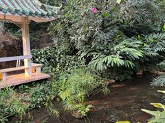 -广州兰圃