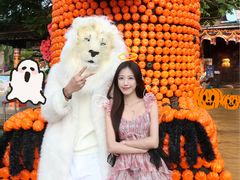 -灵玲国际马戏城