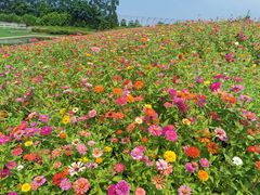 -迪茵湖田家舍生态农场