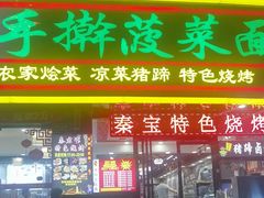 -秦君宝手擀菠菜面(金花路店)