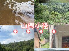 -象头山国家级自然保护区
