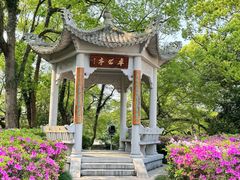 -江心屿景区