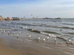 -老虎石海上公园