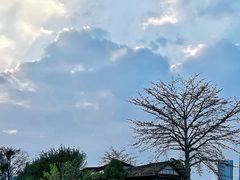 -喜洲吧·江畔老船厂·庭院餐厅(喜临院店)