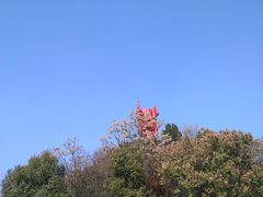 -河南省信阳市鄂豫皖革命纪念馆