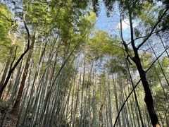 -敬亭山风景名胜区