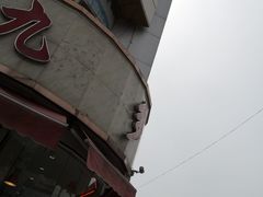 -九多肉多(唐宫路店)